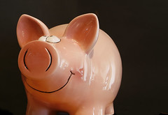 Credit Card Processing - Are You Paying too Much? 1 Piggy Bank