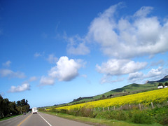 my drive to work today
