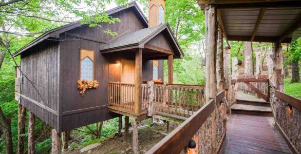 Cabin business for sale Eureka Springs Exterior image of Treehouse business for sale in Eureka Springs