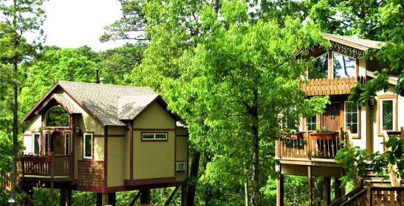 Grand-Treehouse-Resort_Tilt Grand-Treehouse-Resort_Tilt